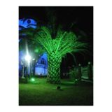 ARES 50w Led Projektör Yeşil