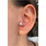 Arescollection Cerrahi Çelik Gümüş Renk Tragus Helix Rook Piercing