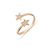 Argentum Concept Y013901 Çift Yıldızlı Gümüş Rose Yüzük