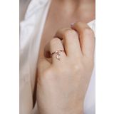 Argentum Concept Y024101 Sallantılı Yunus Figürlü Gümüş Rose Yüzük