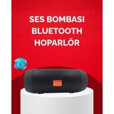 Argesco Mühendislik Bluetooth Hoparlör 20W Bass Güçlü Ses USB Flash Aux Destekli
