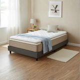 Argimo Mocha 90x190 30 cm Tek Kişilik Pedli Paket Yaylı Yatak