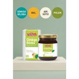 Arı Damlası Ginko Biloba Premium Macun | Arı Sütü, Bal, Polen Içeren Bitkisel Destek Karışımı
