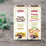 Arı Damlası Propolis Zerdeçal Zencefil ve Ekinezyalı Şurup 340 gr ( Çocuk ve Yetişkin ) - 2 Adet