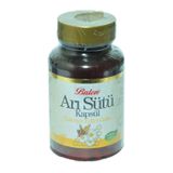 Arı Sütü 60