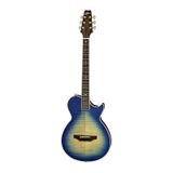 Aria Ape100blb Elektro Akustik Gitar