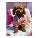 Aria Pet Boutique Köpek Kedi Peluş Polar Hırka 03 (Small)