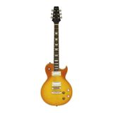 Aria Pro II PE350PGAGLD Elektro Gitar HH RW