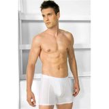 Arias Closet Erkek Modal Klasik Boxer