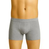 Arias Closet Gri Mı Emay 6800 Erkek Boxer