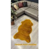 Aries Home Tavşan Tüyü Hardal Yumuşak Makinada Yıkanabilir Kaymaz Ve Toplanmaz Süet Taban Post Halı 160 x 200 HARDAL
