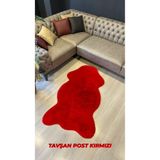 Aries Home Tavşan Tüyü Kırmızı Yumuşak Makinada Yıkanabilir Kaymaz Ve Toplanmaz Süet Taban Post Halı 80 x 150 KIRMIZI
