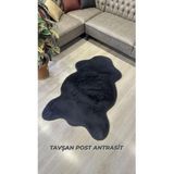 Aries Home Tavşan Tüyü Taş Yumuşak Makinada Yıkanabilir Kaymaz Ve Toplanmaz Süet Taban Post Halı 200 x 300 Taş
