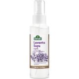 Arifoğlu 100 ml Lavanta Suyu Sprey