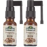 Arifoğlu Propolis Ekstraktı Boğaz Sprey 20ml 2li paket