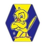 Arık Oyuncak Klasik Uçurtma Çıtalı Altıgen Uçurtma Fenerbahçe