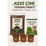 Arkhelais Kedi Çimi Tohumu - Kedi Çimi Yetiştirme Kiti - 1 Lt Cocopeat + 3 Adet 300 ML Saksı Seti