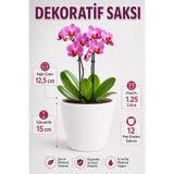Arkhelais Saksı - Orkide Saksısı - Dekoratif Saksı - Bitki Saksısı - 12 Pot Uyumlu Dış Saksı - Salon Balkon Saksısı 1.25 Litre