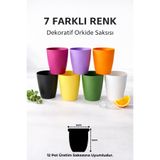 Arkhelais Saksı - Orkide Saksısı - Dekoratif Saksı - Orkide Dış Saksısı - 7 Adet - 12 Pot Üretim Saksısı