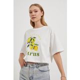 Arma Life Kadın Limon Baskılı Kısa Kol Bol Beyaz Crop Tişört