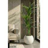 Armada Flora Yapay Yucca (Yuka) Ağacı 170 cm - 3 Gövdeli & 30x30 Küre Saksı