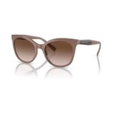 Armani Exchange 0AX4094S 83421354 Kadın Güneş Gözlüğü