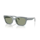Armani Exchange AX 4155SU 8375/2 54 Kadın Güneş Gözlüğü