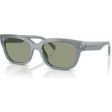 Armani Exchange AX4155SU 8375/2 54 Güneş Gözlüğü - Gri
