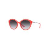 Armani Exchange Güneş Gözlüğü AX4134S 55 83418G