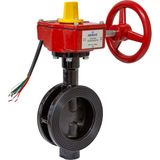 Armas Izlenebilir Kelebek Vana - DN125