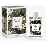 Armasari Black Muse Kalıcı Kadın Parfüm 50ML | Oryantal & Vanilya | Portakal Çiçeği, Kahve, Paçuli - 50 ml