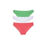 Armin Loretta 546 3 Adet Süper Eko Set Likralı Kadın Slip Külot