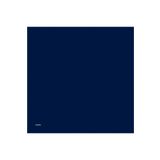 Armine 0010D02T1003 (twill) Düz Boyalı Eşarp