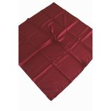Armine Kadın Bordo Twill Düz Renk Eşarp