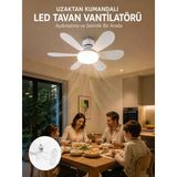 Armüz Ayarlanabilir Parlaklık Özellikli LED Tavan Vantilatörü Süper Sessiz Motor Teknolojisi ve Güçlü Hava Akışı