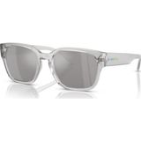 Arnette 0AN4325 28586G 54 Gri Erkek Güneş Gözlüğü