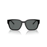 ARNETTE Erkek An4325 Hamie Kare Güneş Gözlüğü, Siyah/Polarize Koyu Gri, 54 mm
