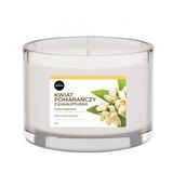 Aroma Basic Line Kokulu Mum Orange blossom with eucalyptus 115gr.