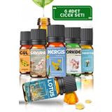 Aroma Terapi Lab Şifalı Çiçek Esansları Seti 6 Adet - Saf Esansiyel Yağ - Oda Ve Ortam Kokusu - Aromatik Uçucu Yağ