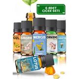 Aroma Terapi TR Çiçek Esansları Seti 6 Adet - Saf Esansiyel Yağ - Oda ve Ortam Kokusu - Aromatik Uçucu Yağ - Cicek6x10ml