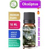 Aroma Terapi TR Okaliptüs Saf Esansiyel Yağ Oda ve Ortam Kokusu Aromatik Uçucu Yağ 10 ml