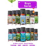 Aroma Terapi TR Rüya Serisi 14 Adet - Saf Esansiyel Uçucu Yağ - Aromatik Buhurdanlık ve Difüzör Kokusu 14x10ml