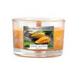 Aroma Unique Fragrances Kokulu Mum Mango Fruit 115gr.