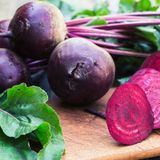Aromatik Doğal Kırmızı Pancar Fidesi (5 adet)