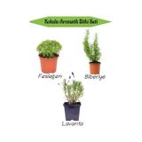 Aromatik Kokulu Mutfak Seti Fesleğen Fidesi+biberiye Fidanı+lavanta Fidesi 3 Adet