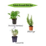 Aromatik Kokulu Mutfak Seti Itır Çiçeği+Biberiye Fidanı+Lavanta Fidesi 3 Adet, SRD010NA0809
