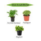 Aromatik Kokulu Mutfak Seti Itır Çiçeği+Fesleğen Fidanı+Reyahan Fidesi 3 Adet, BTS010NA0815