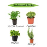 Aromatik Kokulu Mutfak Seti Itır Çiçeği+Fesleğen+Reyhan+Biberiye Fidesi 4 Adet, SRD010NA0819