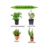 Aromatik Kokulu Mutfak Seti Itır Çiçeği+lavanta+kekik+biberiye Fidesi 4 Adet