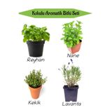 Aromatik Kokulu Mutfak Seti Reyhan+Nane Fidanı+Kekik+Lavanta Fidesi 4 Adet, SRD010NA0821